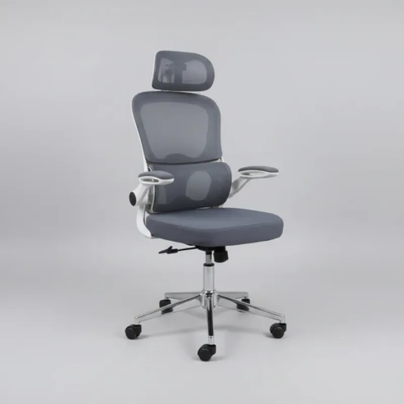 Chaise ergonomique royaume